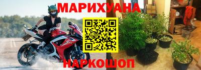 прущие грибы Донской