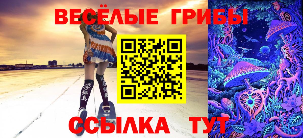 Галлюциногенные грибы Psilocybine cubensis Евпатория